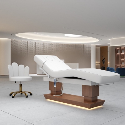 Electric Massage Bed