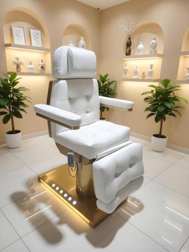 Electric Facial Bed