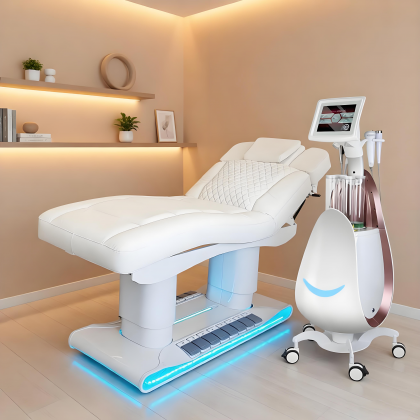 Electric Facial Bed